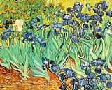 Irises Canvas Paintings - Irises